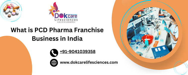 What is PCD Pharma Franchise Business in India